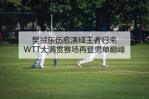 樊振东伤愈演绎王者归来 WTT大满贯赛场再登男单巅峰